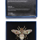Pearl Bee Brooch