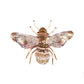 Pearl Bee Brooch