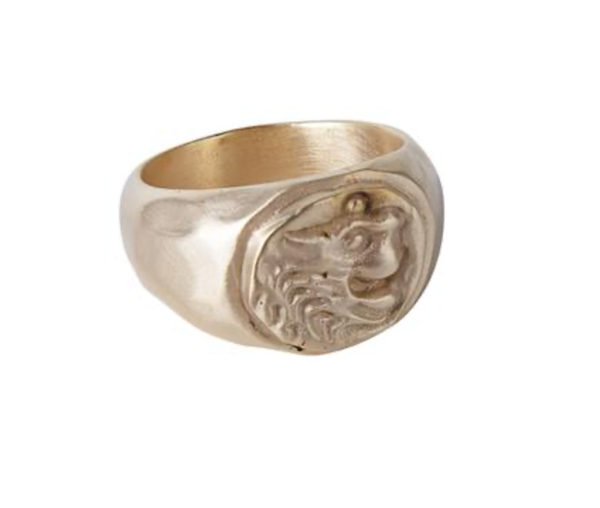 chaptertwo_fairley_aker_lions_signet_ring