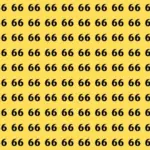 Mind Bending Optical Illusion: Only Sharp Eyes Can Find 69 Hidden Among 66 Before Time Runs Out